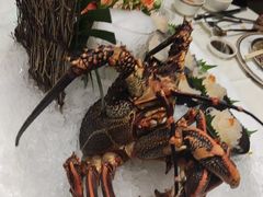 -万龙洲海鲜(大兴绿地缤纷城店)