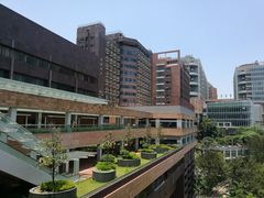 -香港大学