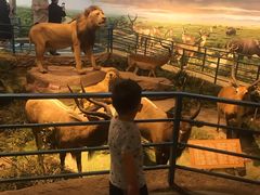 -陕西自然博物馆