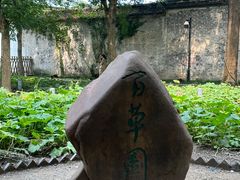 -绍兴鲁迅故里·沈园景区