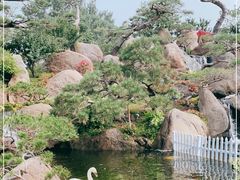 -罗红摄影艺术馆