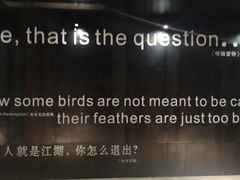 -银兴国际影城(星汇维港店)