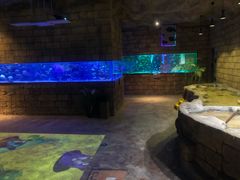 -zoonana室内动物园(东方福来德店)