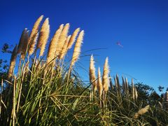 -上海山野camping·户外天幕烧烤·团建拓展营地