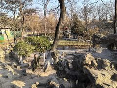 -莲湖公园