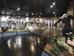 -北京周口店北京人遗址博物馆