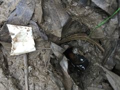 -吴淞炮台湾湿地森林公园烧烤区