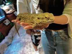 -酷嗒动物文化乐园(cutezoo西溪乐天城店)