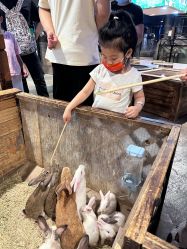 -酷嗒动物文化乐园(cutezoo西溪乐天城店)