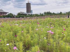 -长春北湖公园