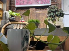 -月栖华明-云间草堂清茶馆(泗泾古镇店)