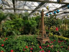 -南宫五洲植物乐园