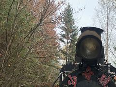 -五营红松林海景区