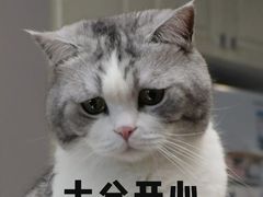 -九寸钉自助·炭火烤肉烧烤(欧乐时尚广场店)