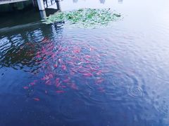 -前关湿地公园