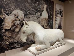-宁夏博物馆