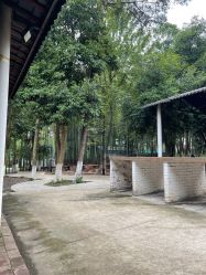 -长沙小顽国景区