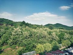 -照金红色旅游名镇