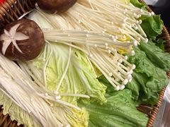 -同仁四季椰子鸡(海岸城天利店)