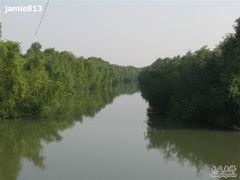 -大湾区中央湿地公园