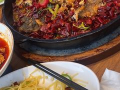 -老板恋上鱼(恒隆广场店)