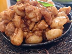-丁老爷子苏香圆