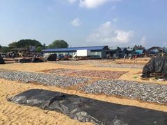 -尼甘布海鲜市场