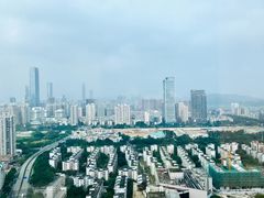 -深圳温德姆至尊酒店·大堂吧·户外花园