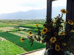 -翠田Green Field Kitchen