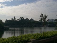 -观澜山水田园