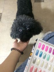 -杉惠素颜美妆皮肤管理中心