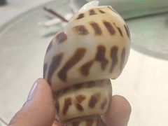 -金满楼(天河中路店)