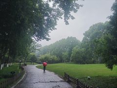 -习家池