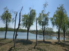 -大兴滨河森林公园