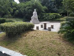 -上海市杨浦区中医医院