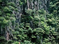 -汉中石门栈道风景区