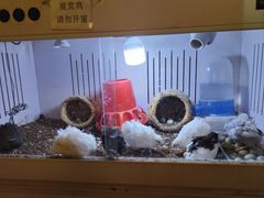 -红红烤鸭店(西单店)
