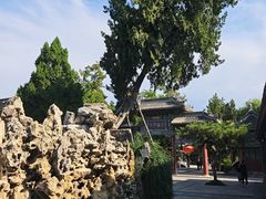 -莲池书院博物馆
