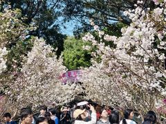 -观澜湖生态运动公社