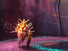 -重庆国际马戏城