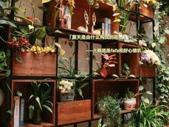 -杨小贤(五店市店)