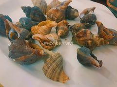 深海大花螺-都市阳光海鲜城(青山湖店)