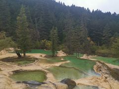 -黄龙山原始森林景区