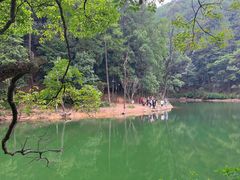 -缙云山景区