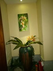 -蕾蕾美颜美容美体