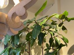 -秀儿家の小确幸花园西餐厅