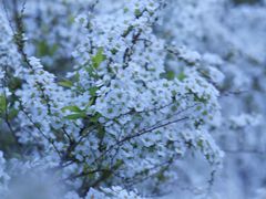 -共青国家森林公园-售票处
