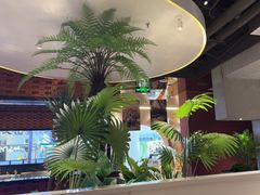 -芸山季·云南野生菌火锅(宝能环球汇店)