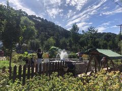 -龙福源密云水库灶台鱼