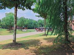 -上海海湾国家森林公园